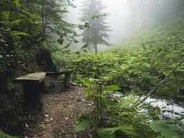 banco de madera en el hermoso bosque de las montañas del Cáucaso en la niebla. Rusia foto
