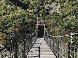 Suspension bridge on Hallasan volcano. Front view photo