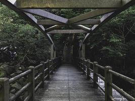 Wooden bridge in a forest of Jeju island. South Korea photo