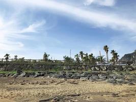 Palm trees on a beach of Jeju island. Summer day in South Korea photo