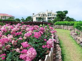 Beautiful garden on a villa. Jeju island. South Korea photo