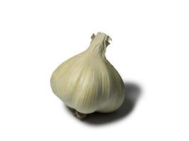 Head of garlic isolated on white background photo
