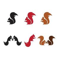 Squirrel logo template illustration design vector