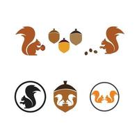 Squirrel logo template illustration design vector