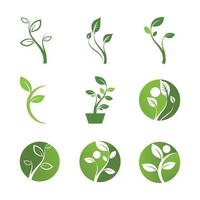 Mint leaves flat vector color icon template illustration design