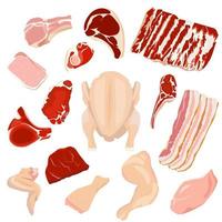 Minced meat, steaks, ham, bacon of pork, beef and lamb, chicken, turkey. Products on the counter of the butcher store. vector