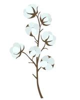 Cotton branch isolated object vector