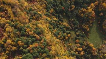 autumn color landscape aerial view photo