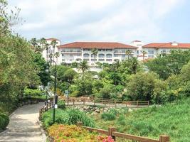 Beautiful summer park with palm trees and buildings on the background. Jeju island, South Korea photo