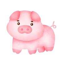 Hand drawn watercolor cute pig character. vector