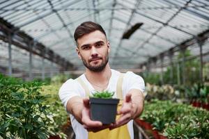 Showing off. Photo of beautiful bearded greenhouse worker holding the vase in hands