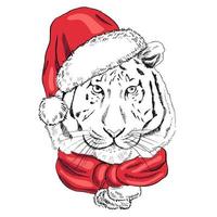 Retrato dibujado a mano de un tigre de año nuevo con una bufanda y un sombrero de santa claus. ilustración vectorial. boceto de línea vintage. ilustración de navidad. vector