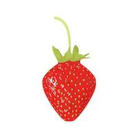 Curvy tasty ripe sweet strawberries. Vector Illustration