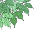 Abstract Natural Green Leaves Background. Vector Illustration