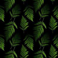 Fern leaf seamless pattern background. Vector Illustration