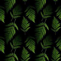 Fern leaf seamless pattern background. Vector Illustration