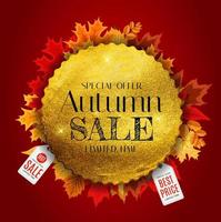 Autumn Sale Background Template with leaves. Special offer. Limited Time. Vector Illustration