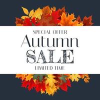 Autumn Sale Background Template with leaves. Special offer. Limited Time. Vector Illustration