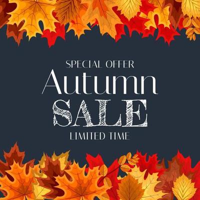 Autumn Sale Background Template with leaves. Special offer. Limited Time. Vector Illustration