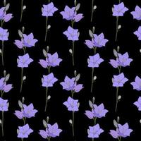 Hand drawn Campanula Flower seamless pattern background. Vector Illustration