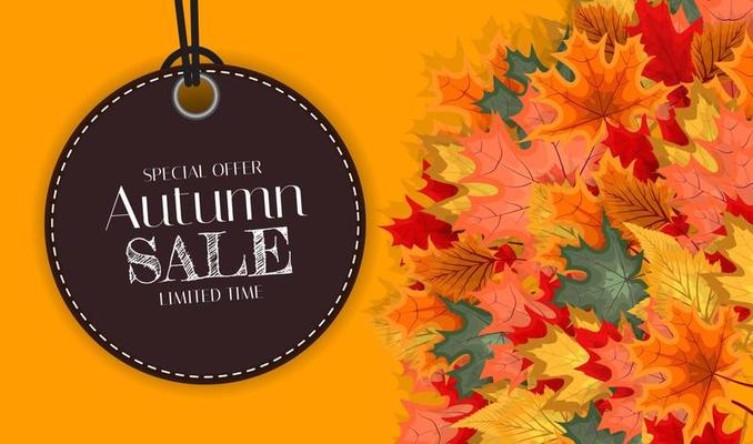 Autumn Sale Background Template with leaves. Special offer. Limited Time. Vector Illustration