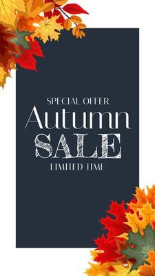 Autumn Sale Background Template with leaves. Special offer. Limited Time. Vector Illustration