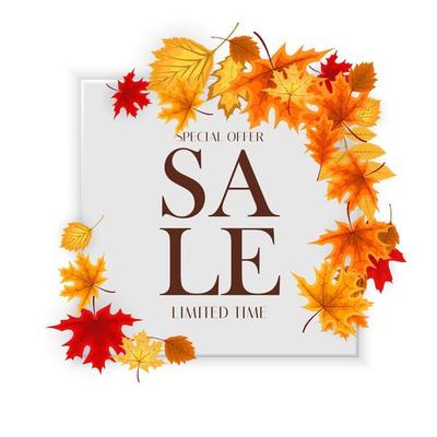 Autumn Sale Background Template with leaves. Special offer. Limited Time. Vector Illustration