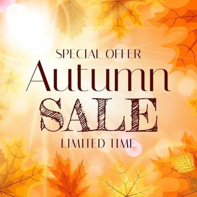 Autumn Sale Background Template with leaves. Special offer. Limited Time. Vector Illustration