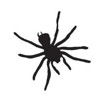 silueta de araña sobre un fondo blanco. ilustración vectorial vector