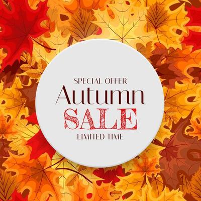 Autumn Sale Background Template with leaves. Special offer. Limited Time. Vector Illustration