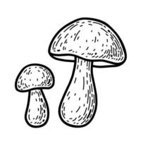 Two cartoon boletus isolated on a white background vector