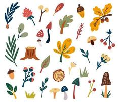 Forest plants clipart collection. Woodland trees, herbs, mushrooms, flowers, branches, berries, leaves. Hand Draw Wild botanical set. Vector cartoon illustration. Isolated on the white background.