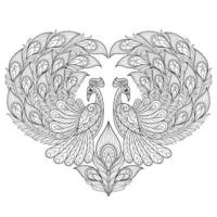 Peacock heart hand drawn for adult coloring book vector