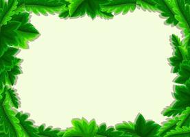 Empty background with green leaves frame vector