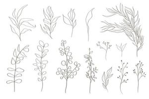 Set of tree branches, eucalyptus, leaves, herbs and flowers silhouettes.