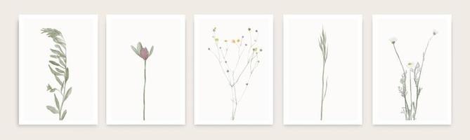 Herbs and wild botanical flowers. Set of botany vintage flowers. vector