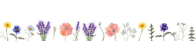 banner horizontal o telón de fondo floral decorado con hierbas y flores botánicas silvestres. conjunto de flores vintage botánica.