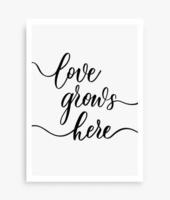 Love grows here. Modern calligraphy inscription poster. Wall art decor. vector