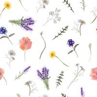 Watercolor seamless pattern with wildflowers, Herbs and wild botanical flowers. vector