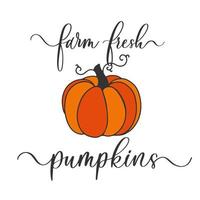 Farm fresh Pumpkins - vector brush calligraphy banner.