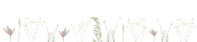 banner horizontal o telón de fondo floral decorado con hierbas y flores botánicas silvestres. conjunto de flores vintage botánica. vector