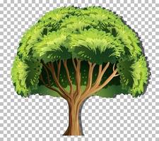 un árbol aislado en el fondo de la cuadrícula vector