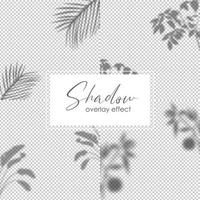 Set of shadow overlay effect. Transparent soft light and shadows from plant branches, leaves and foliage. Mockup of transparent shadow overlay effect and natural lightning. vector