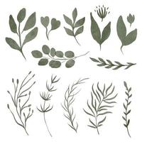 Set of vector watercolor leaves and branches. Lovely design element to make your own pattern, laurels and compositions. Great for wedding or invitations.