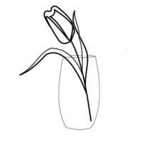 simple outline tulip in a glass vector