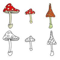 A set of three fly agarics in color and outline, bright dangerous mushrooms vector