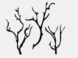 árbol en otoño, rama de árbol, árbol muerto, diseño de rama de árbol vector
