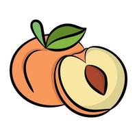 Trendy Peach Concepts vector