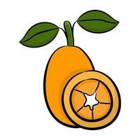 Trendy Cantaloupe Concepts vector