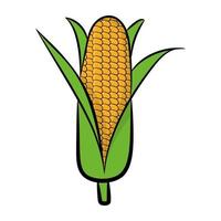 conceptos de mazorca de maíz vector